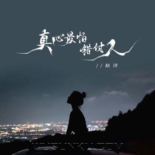 赵洋《真心最怕错付人》[无损flac|320K高品质MP3]网盘下载
