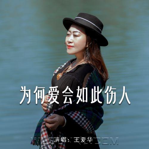 王爱华《为何爱会如此伤人》[无损flac|320K高品质MP3]网盘下载