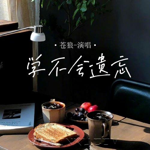 苍狼《学不会遗忘》[无损flac|320K高品质MP3]网盘下载