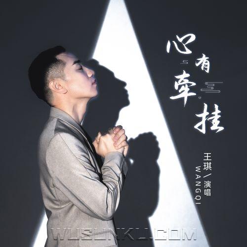 王琪《心有牵挂》[无损flac|320K高品质MP3]网盘下载