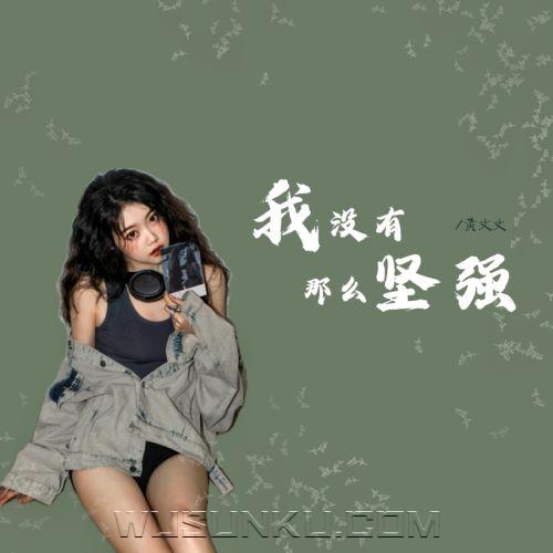 黄文文《我没有那么坚强》[无损flac|320K高品质MP3]网盘下载