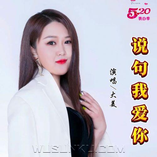 大美《说句我爱你》[无损flac|320K高品质MP3]网盘下载