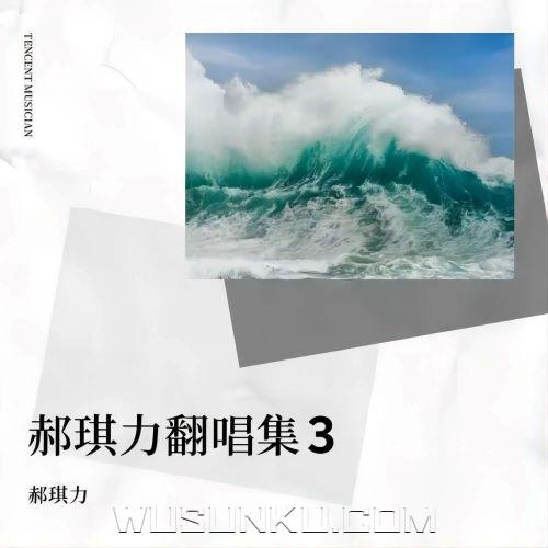 郝琪力2024年翻唱专辑《郝琪力翻唱集3》[无损flac|320K高品质MP3]网盘下载