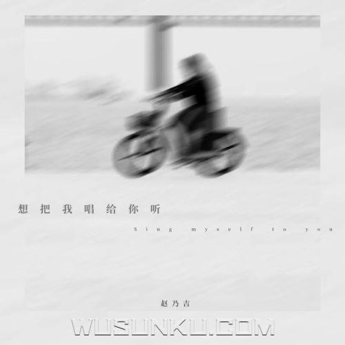 赵乃吉《想把我唱给你听》[无损flac|320K高品质MP3]网盘下载