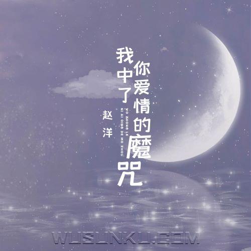 赵洋《我中了你爱情的魔咒》[无损flac|320K高品质MP3]网盘下载