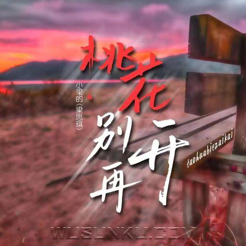 小梁的《桃花别再开》[无损flac|320K高品质MP3]网盘下载