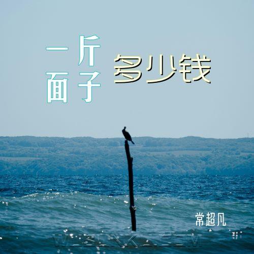 常超凡《一斤面子多少钱》[无损flac|320K高品质MP3]网盘下载