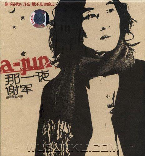 谢军2005年专辑《那一夜》[无损flac|320K高品质MP3]网盘下载