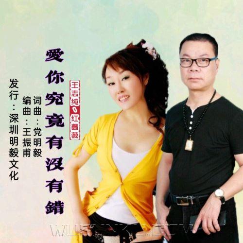 王志纯、红蔷薇《爱你究竟有没有错（对唱版）》[无损flac|320K高品质MP3]网盘下载