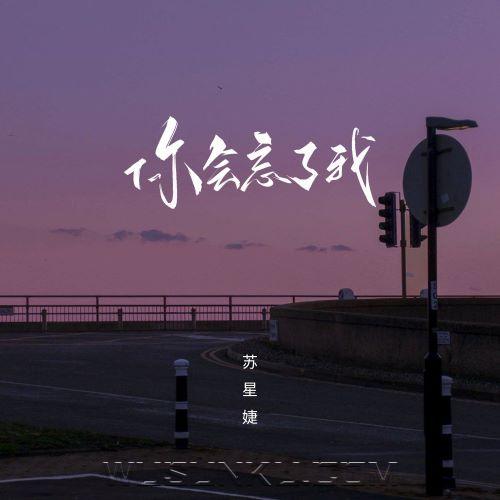 苏星婕《你会忘了我》[无损flac|320K高品质MP3]网盘下载