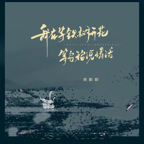 刘阳阳《我在等铁树开花》[无损flac|320K高品质MP3]网盘下载