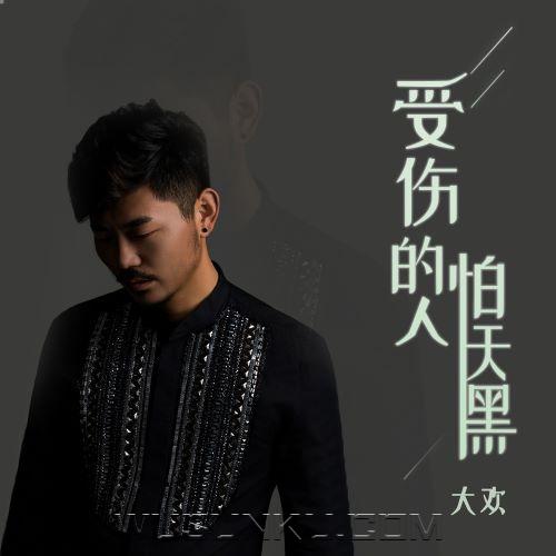 大欢《受伤的人怕天黑》[无损flac|320K高品质MP3]网盘下载