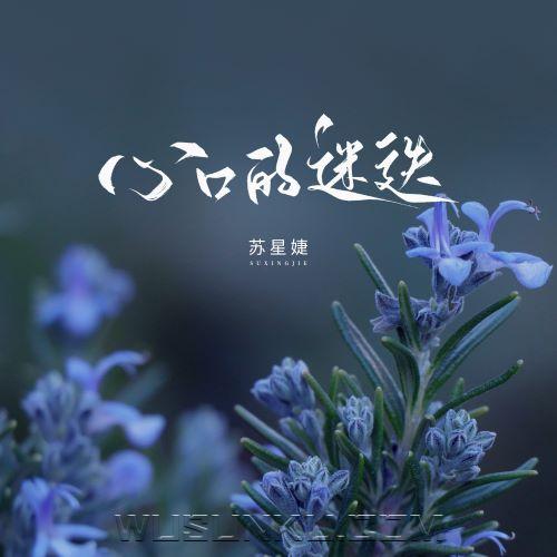 苏星婕《心口的迷迭》[无损flac|320K高品质MP3]网盘下载