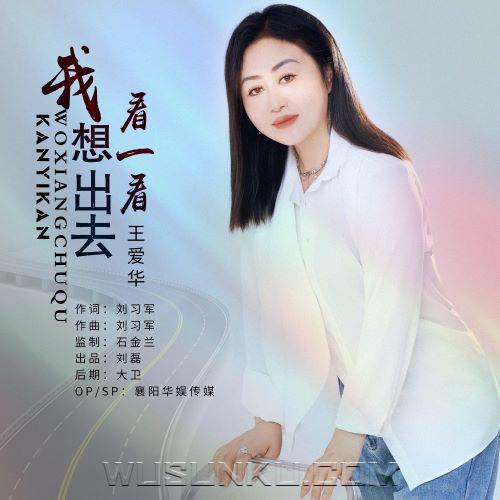 王爱华《我想出去看一看》[无损flac|320K高品质MP3]网盘下载