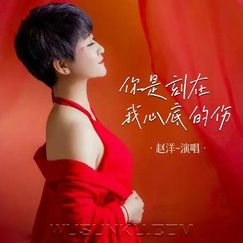 赵洋《你是刻在我心底的伤》[无损flac|320K高品质MP3]网盘下载