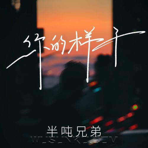 半吨兄弟《你的样子》[无损flac|320K高品质MP3]网盘下载