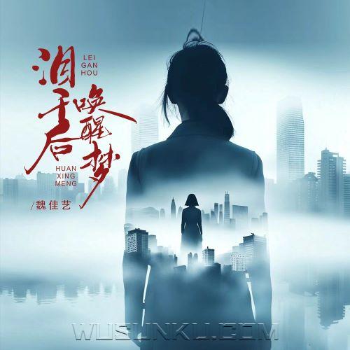 魏佳艺《泪干后唤醒梦》[无损flac|320K高品质MP3]网盘下载