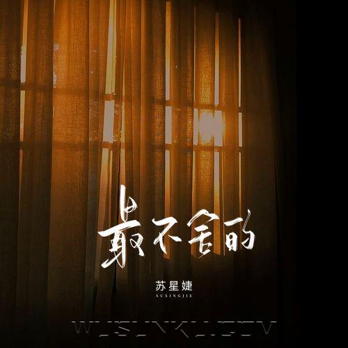 苏星婕《最不舍的》[无损flac|320K高品质MP3]网盘下载