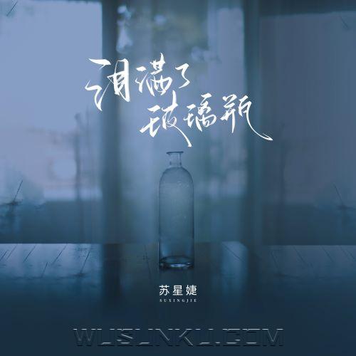 苏星婕《泪满了玻璃瓶》[无损flac|320K高品质MP3]网盘下载