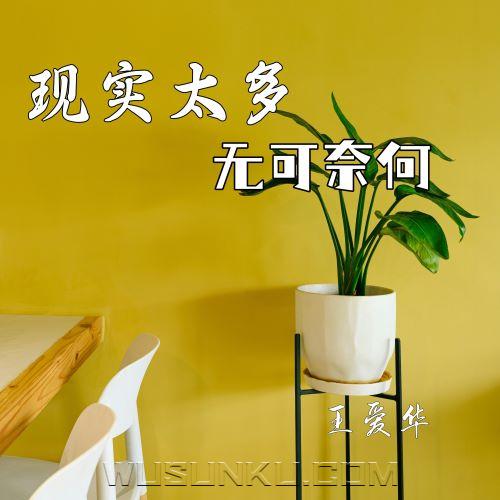王爱华《现实太多无可奈何》[无损flac|320K高品质MP3]网盘下载