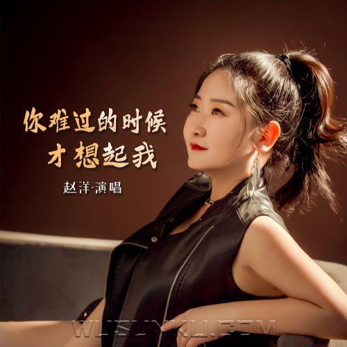 赵洋《你难过的时候才想起我》[无损flac|320K高品质MP3]网盘下载