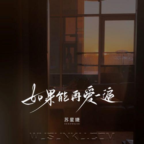 苏星婕《如果能再爱一遍》[无损flac|320K高品质MP3]网盘下载