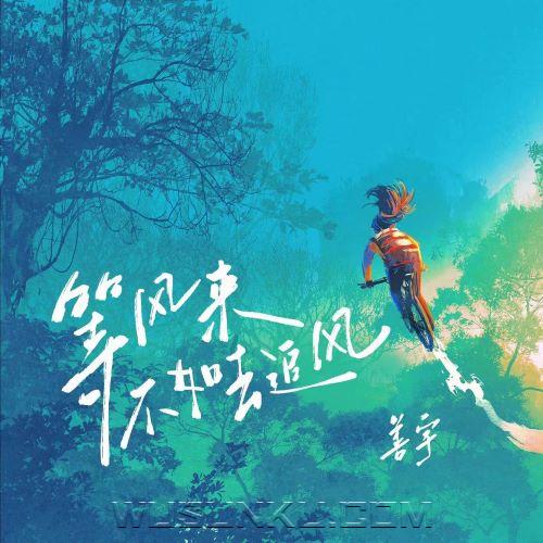 善宇《等风来不如去追风》[无损flac|320K高品质MP3]网盘下载