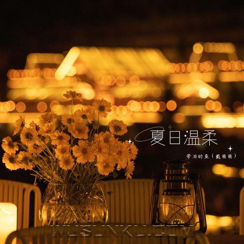 带泪的鱼(戴丽丽)《夏日温柔》[无损flac|320K高品质MP3]网盘下载