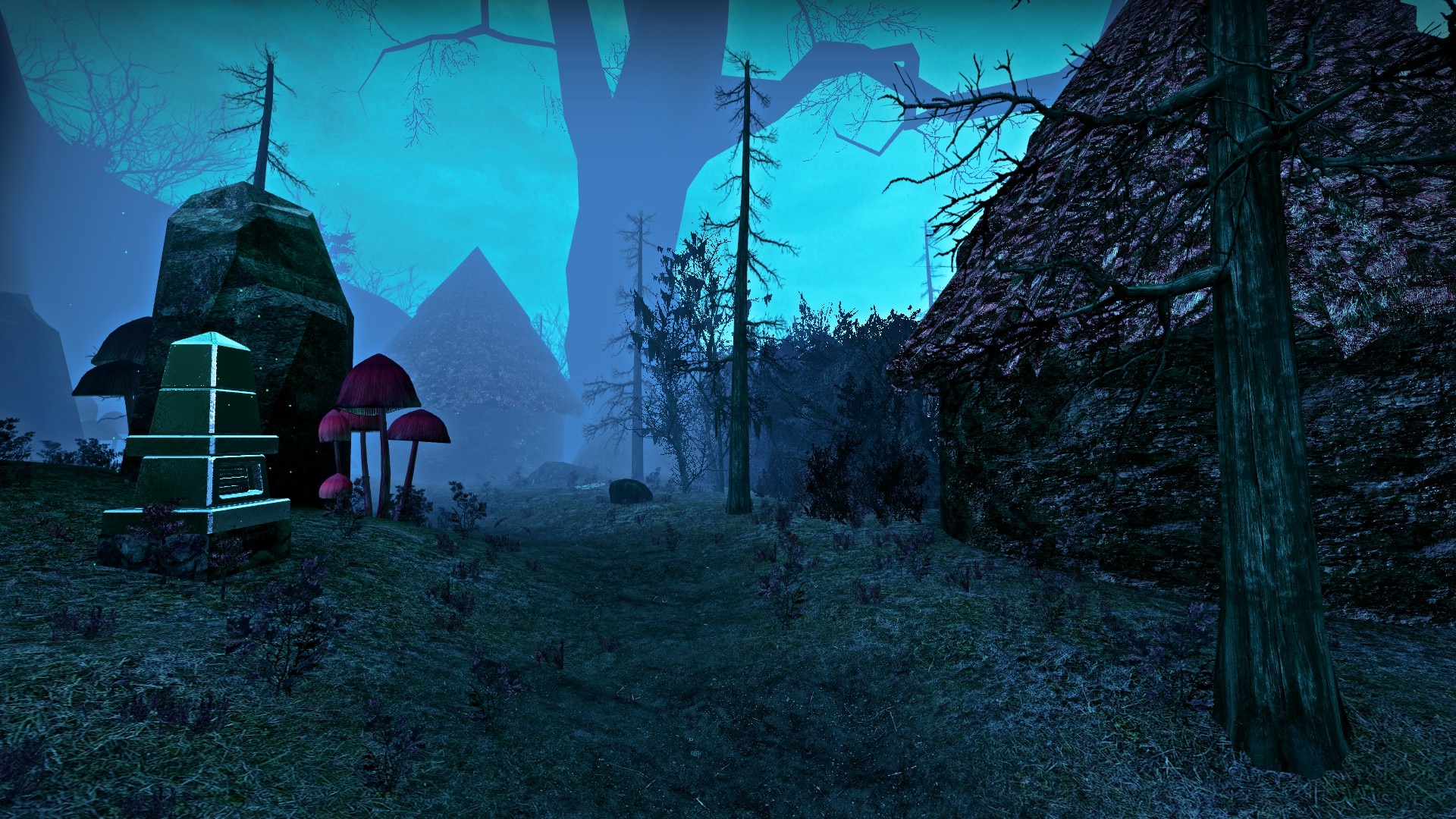 Where the Fairies go