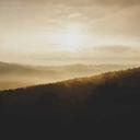 测试59的头像-SDModel