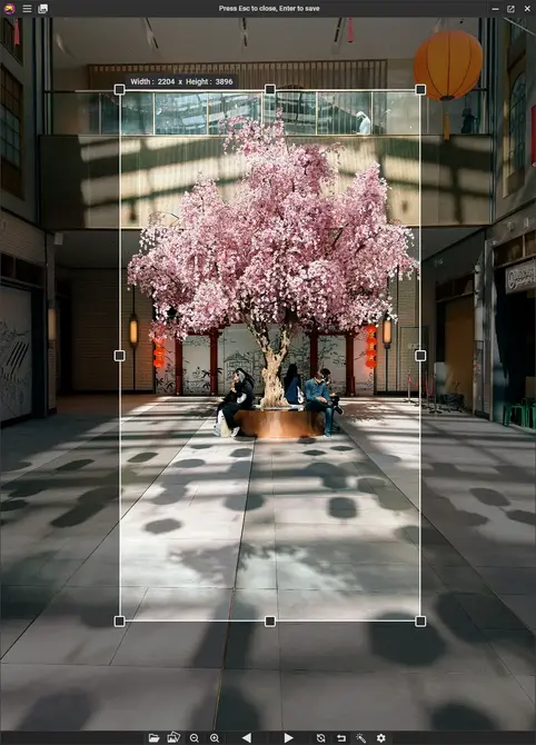 图片[6]-PicView比系统自带更好用的看图工具-SDModel