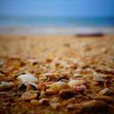 测试94的头像-SDModel