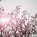 测试54的头像-SDModel