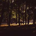 测试19的头像-SDModel