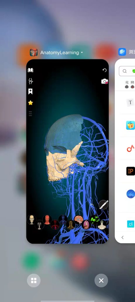 Anatomy Learning v2.1 解锁版 (3D医学人体构造解剖)