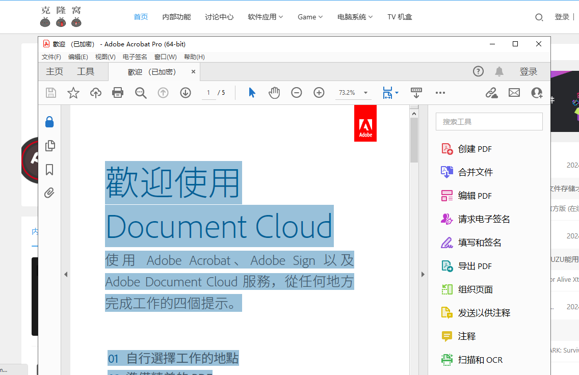 Adobe Acrobat PRO DC v2024.001.20629 解锁版 (PDF编辑器)
