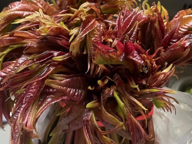 香椿是血糖“抑制器”? 医生反复提醒：糖尿病病人，5种蔬菜要控制