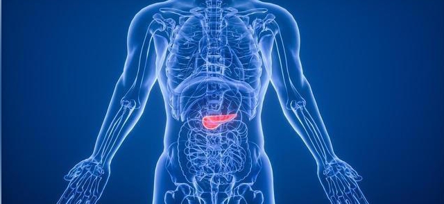 想远离糖尿病? 医生提醒：先护好身体的“血糖调节器”——胰腺