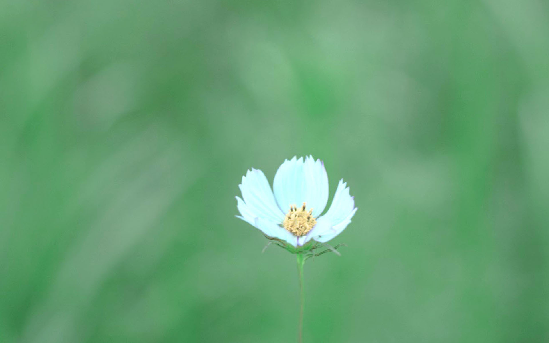 糖友之家上线