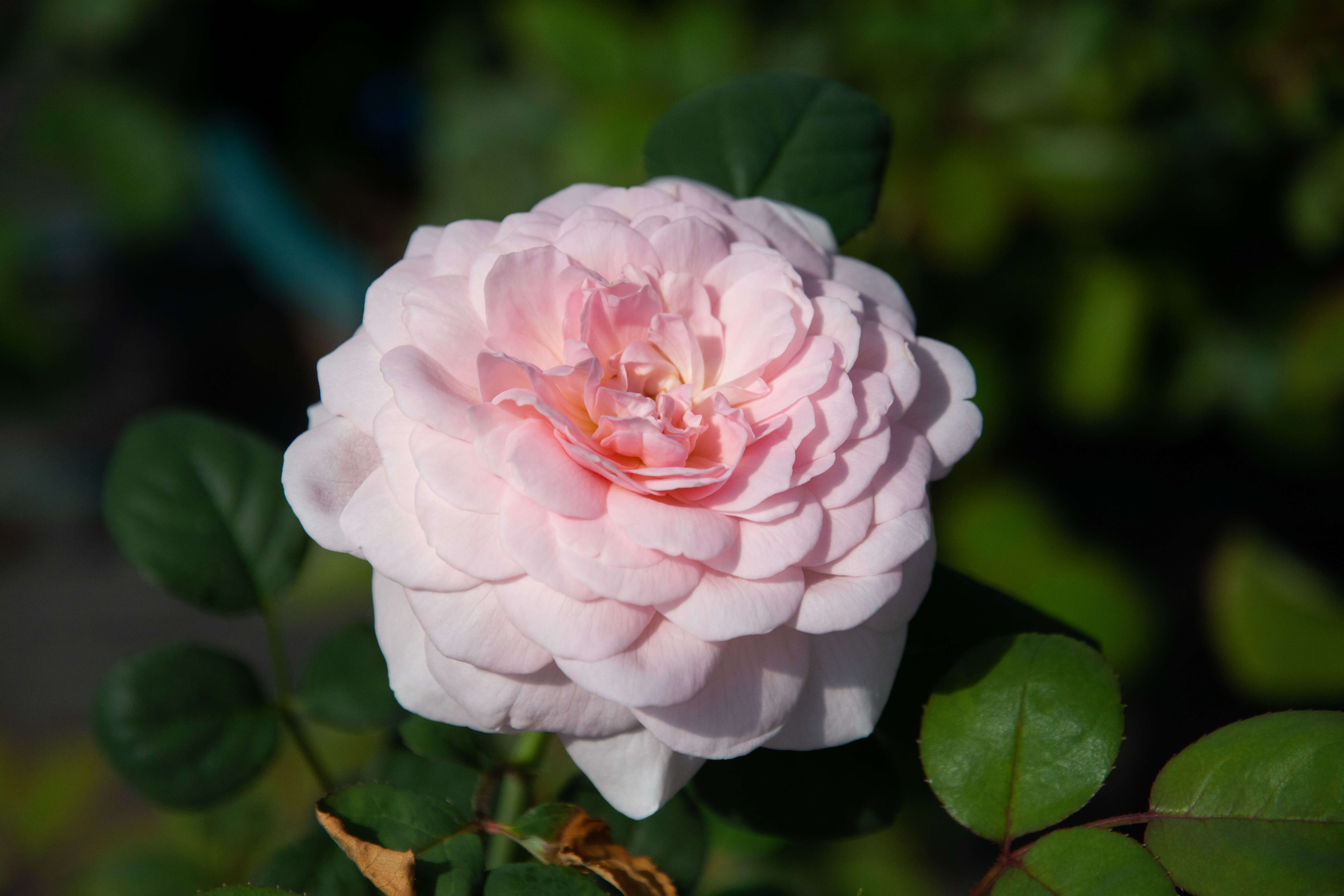 DSC_9847_240418.jpg