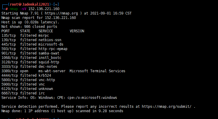 image-20230725130513982