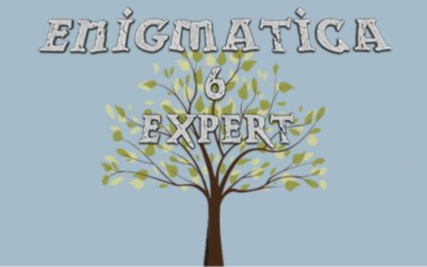 Enigmatica 6: Expert-en6e