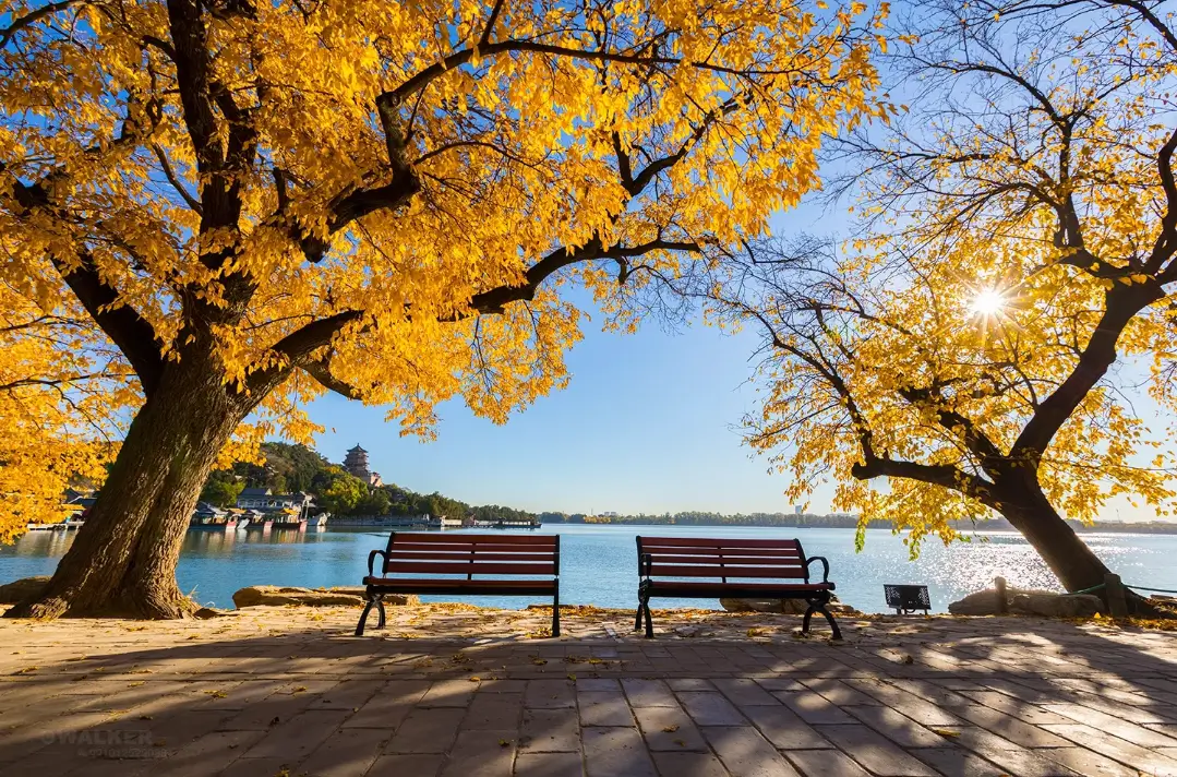 为什么选择内心向往的方向？