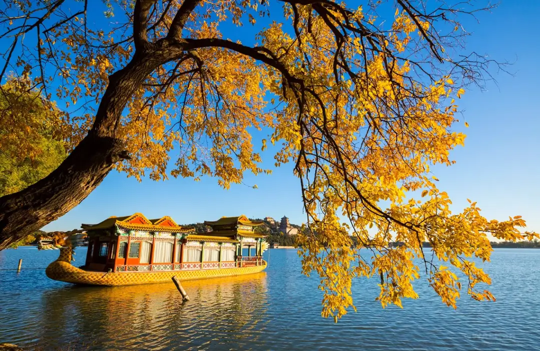 打造一款博客主题，很吃审美