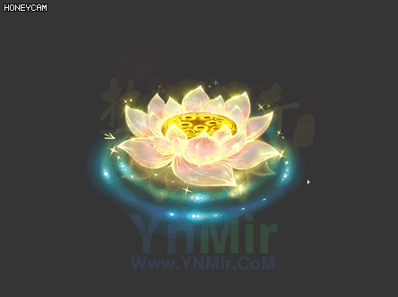 金莲特效1636 作者:admin 帖子ID:13196 