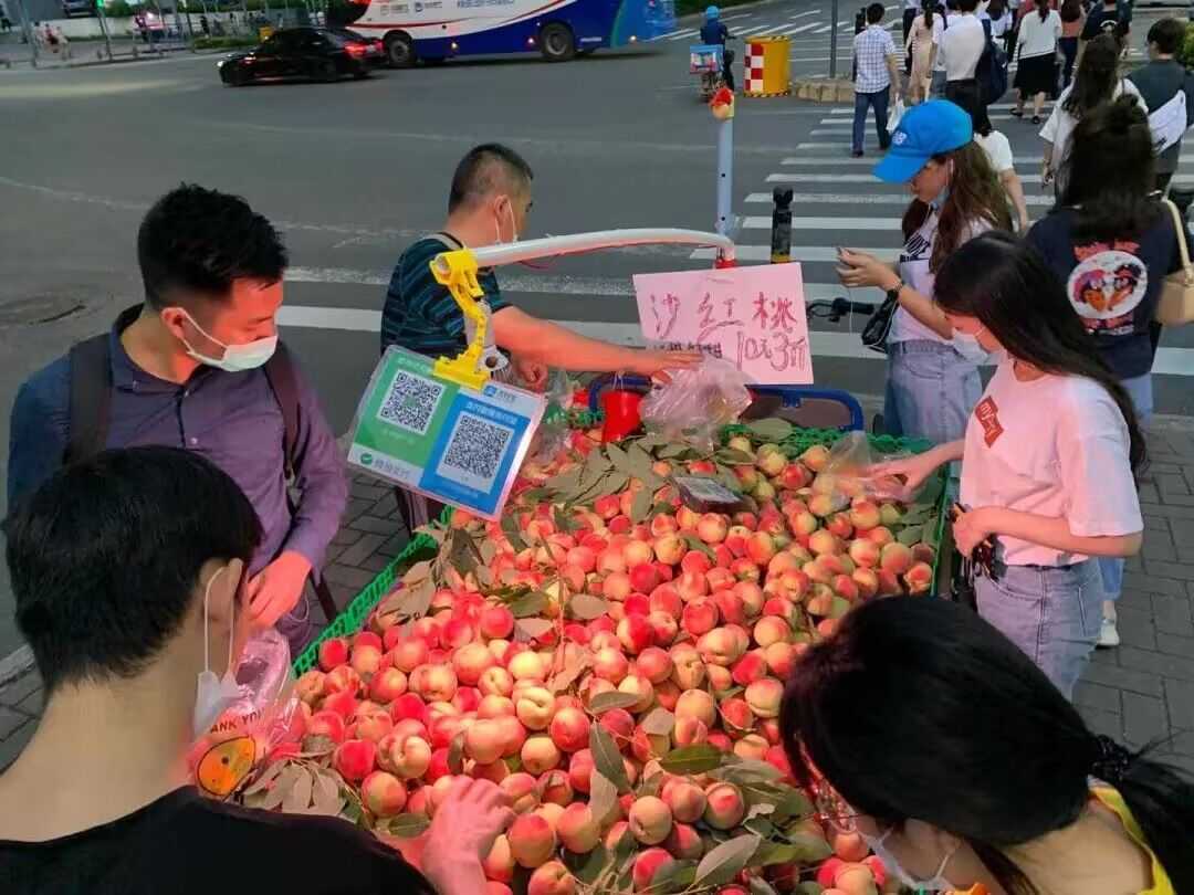 支付宝免费领经营版商家收款码 随便写写 第2张