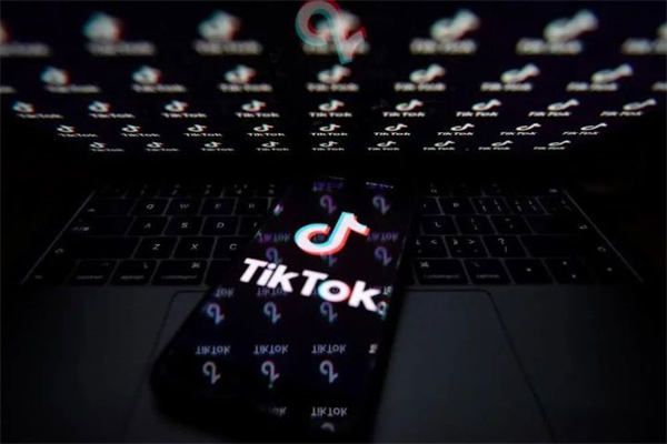 怎么在抖音国际版TikTok赚钱？Tik Tok撸美金项目