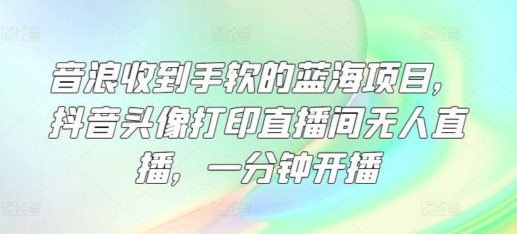 音浪收到手软的蓝海项目，抖音头像打印直播间无人直播，一分钟开播 随便写写 第1张