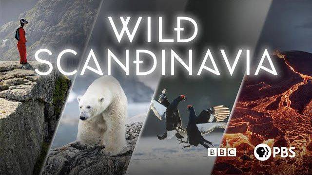 《野性斯堪的纳维亚第一季》Wild Scandinavia 迅雷下载 全集免费下载 磁力链 1080P网盘资源