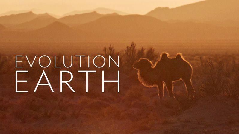 《进化的地球第一季》Evolution Earth 迅雷下载 全集免费下载 磁力链 1080P网盘资源